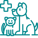 Medicina preventiva