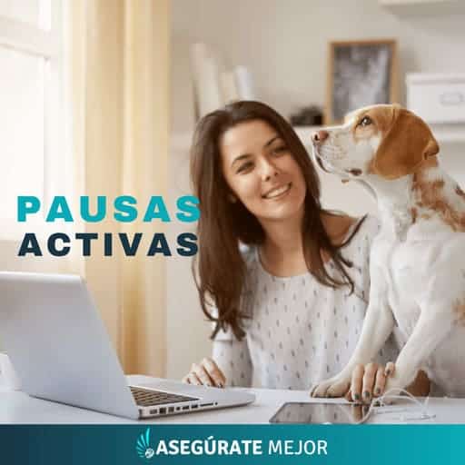 agencia de seguros pausas activas