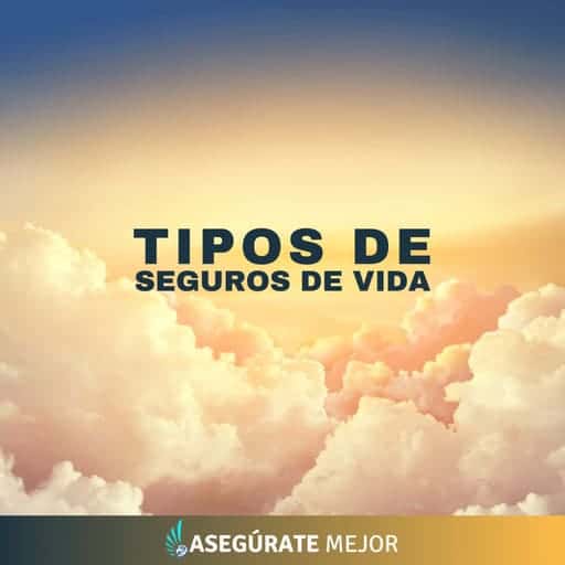 tipos de seguros de vida agencia de seguros asegúrate mejor