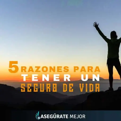 agencia de seguros seguro de vidas razones