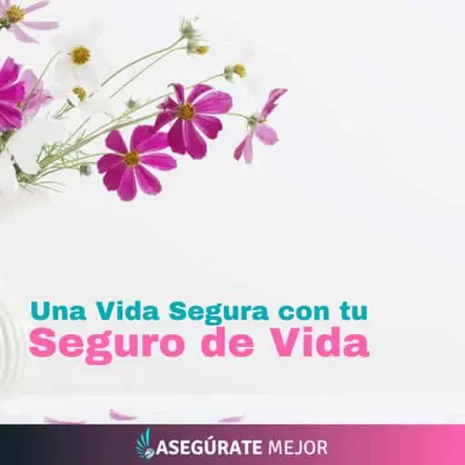 agencia de seguros asegúrate mejor